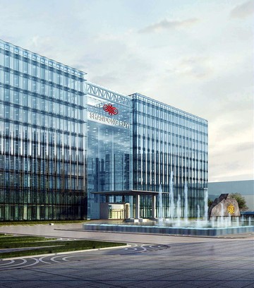 山东如意集团有限公司